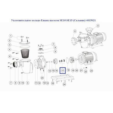 Ущільнювальне кільце Emaux насосів SE10 \ SE15 (Сальник) 4015021